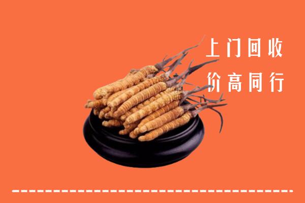 高价求购：新丰县回收散虫草